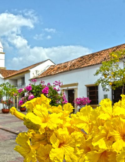 Galería del distrito 1